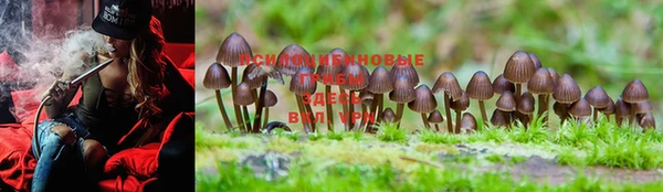стафф Липки