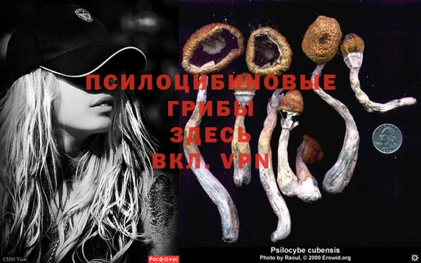 ешки Осинники