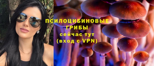 молекула духа Майский