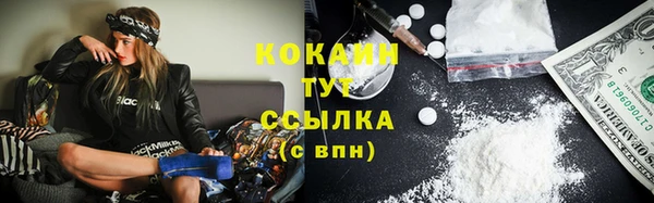 шишки Лихославль