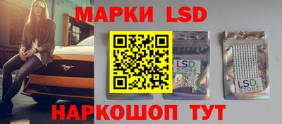 крисы Кунгур