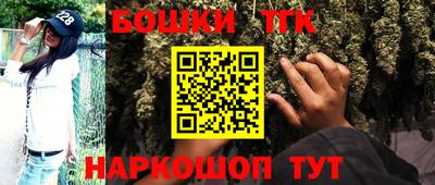 крисы Кунгур